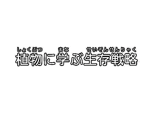 植物に学ぶ生存戦略
